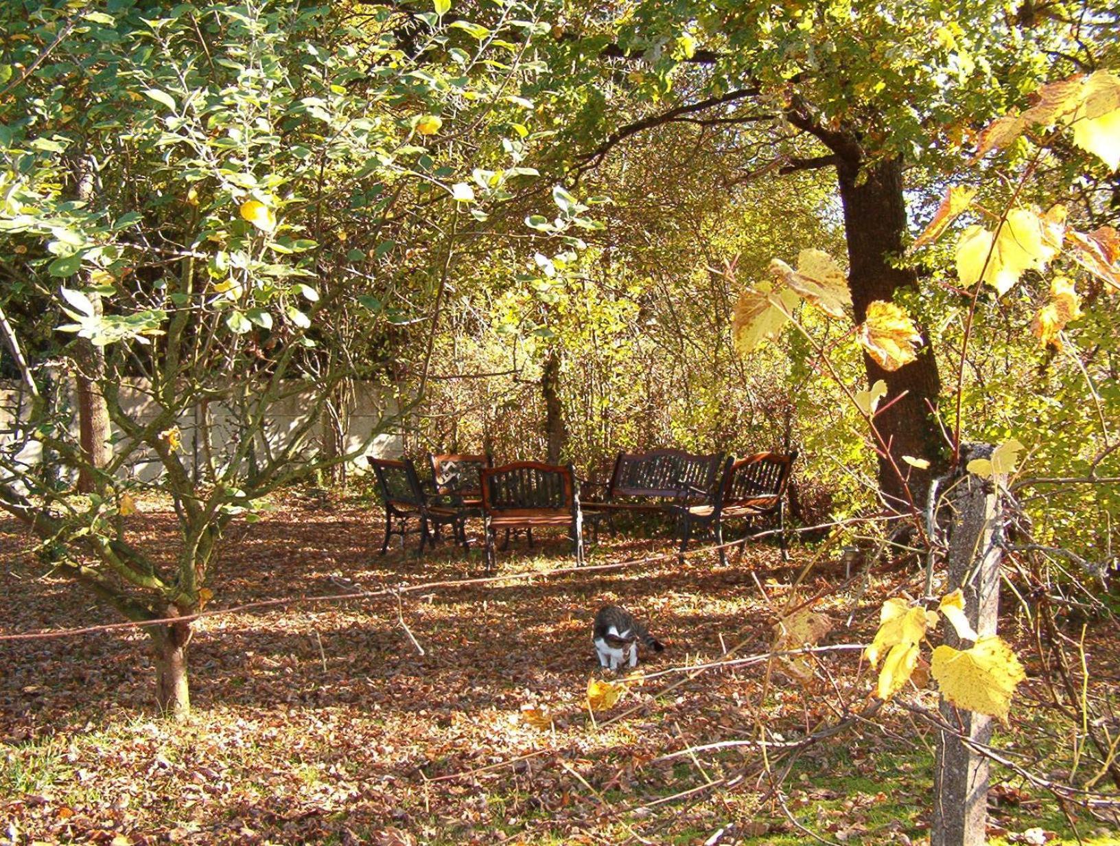 La Longere Des Gillettes Bed and Breakfast Bézenet Buitenkant foto